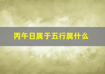 丙午日属于五行属什么