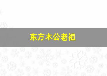 东方木公老祖