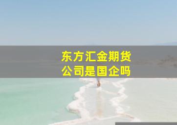 东方汇金期货公司是国企吗