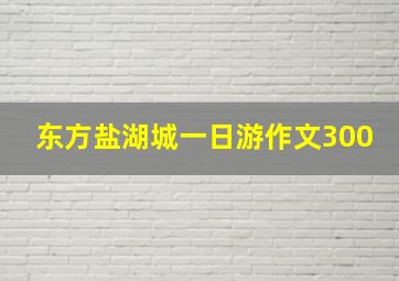 东方盐湖城一日游作文300