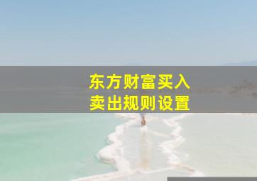 东方财富买入卖出规则设置