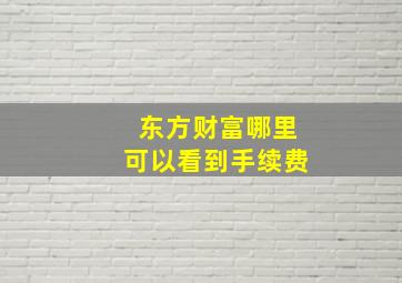 东方财富哪里可以看到手续费