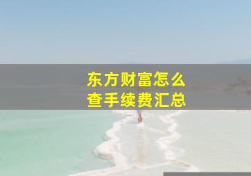 东方财富怎么查手续费汇总