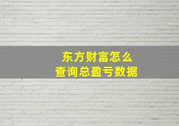 东方财富怎么查询总盈亏数据