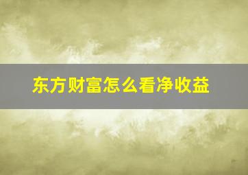 东方财富怎么看净收益