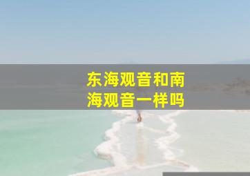 东海观音和南海观音一样吗