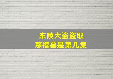 东陵大盗盗取慈禧墓是第几集