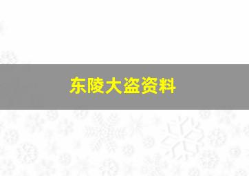 东陵大盗资料