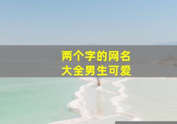 两个字的网名大全男生可爱