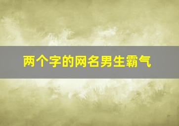 两个字的网名男生霸气