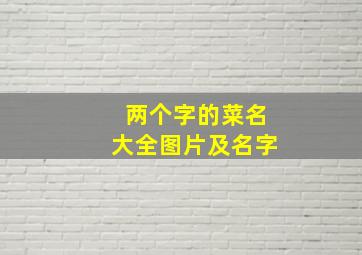 两个字的菜名大全图片及名字