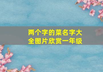 两个字的菜名字大全图片欣赏一年级