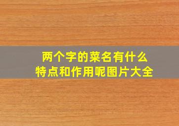 两个字的菜名有什么特点和作用呢图片大全