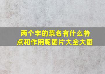 两个字的菜名有什么特点和作用呢图片大全大图