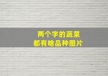 两个字的蔬菜都有啥品种图片