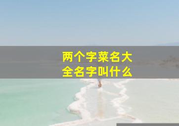 两个字菜名大全名字叫什么