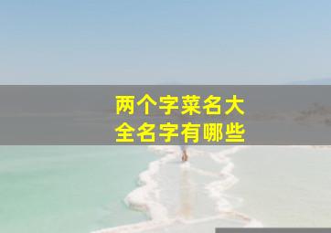 两个字菜名大全名字有哪些