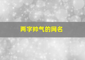 两字帅气的网名