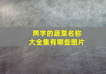 两字的蔬菜名称大全集有哪些图片