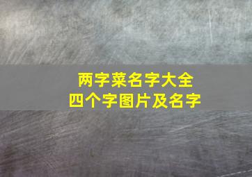 两字菜名字大全四个字图片及名字