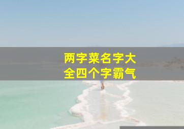 两字菜名字大全四个字霸气