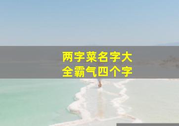 两字菜名字大全霸气四个字