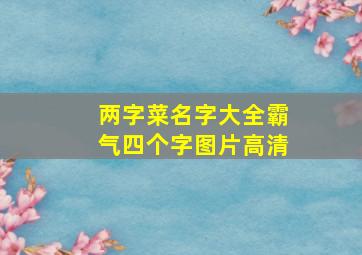 两字菜名字大全霸气四个字图片高清