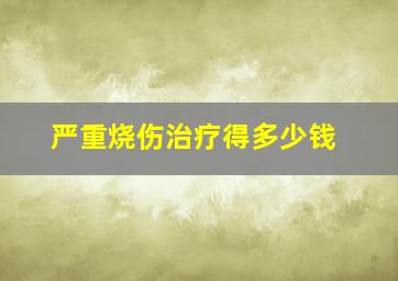 严重烧伤治疗得多少钱