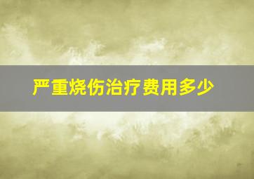 严重烧伤治疗费用多少