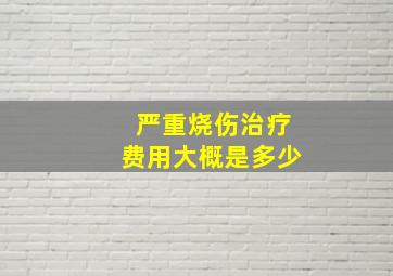 严重烧伤治疗费用大概是多少