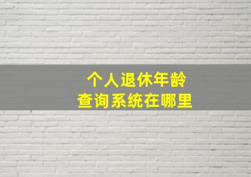 个人退休年龄查询系统在哪里