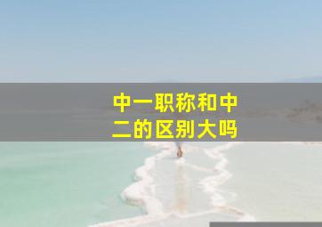 中一职称和中二的区别大吗