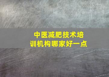 中医减肥技术培训机构哪家好一点