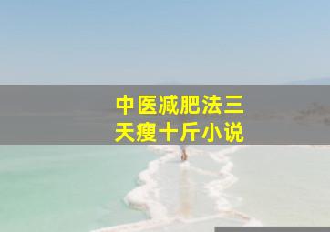 中医减肥法三天瘦十斤小说