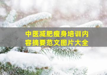 中医减肥瘦身培训内容摘要范文图片大全