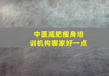 中医减肥瘦身培训机构哪家好一点