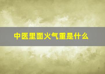 中医里面火气重是什么