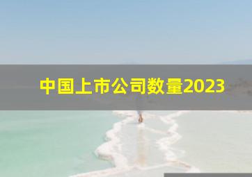 中国上市公司数量2023