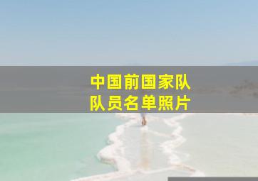 中国前国家队队员名单照片