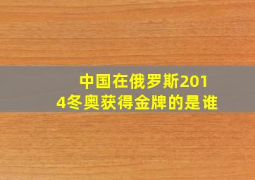 中国在俄罗斯2014冬奥获得金牌的是谁