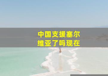 中国支援塞尔维亚了吗现在