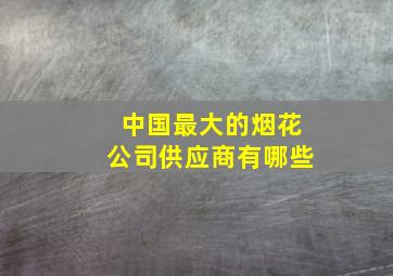 中国最大的烟花公司供应商有哪些