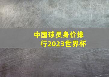 中国球员身价排行2023世界杯