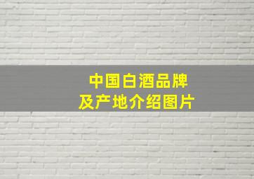 中国白酒品牌及产地介绍图片