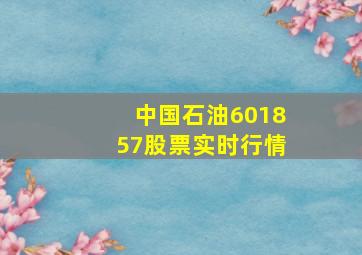 中国石油601857股票实时行情