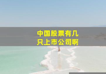 中国股票有几只上市公司啊