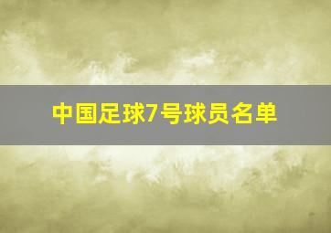 中国足球7号球员名单