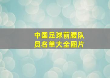 中国足球前腰队员名单大全图片