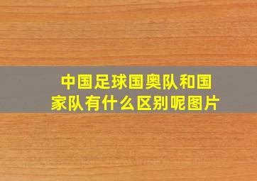 中国足球国奥队和国家队有什么区别呢图片