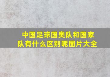 中国足球国奥队和国家队有什么区别呢图片大全